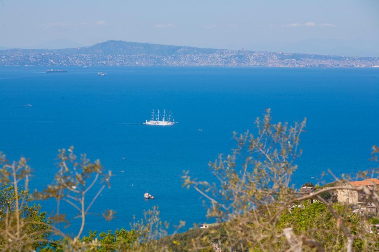 Villa Venus In Penisola Sorrentina มัสซาลูเบรนเซ ภายนอก รูปภาพ