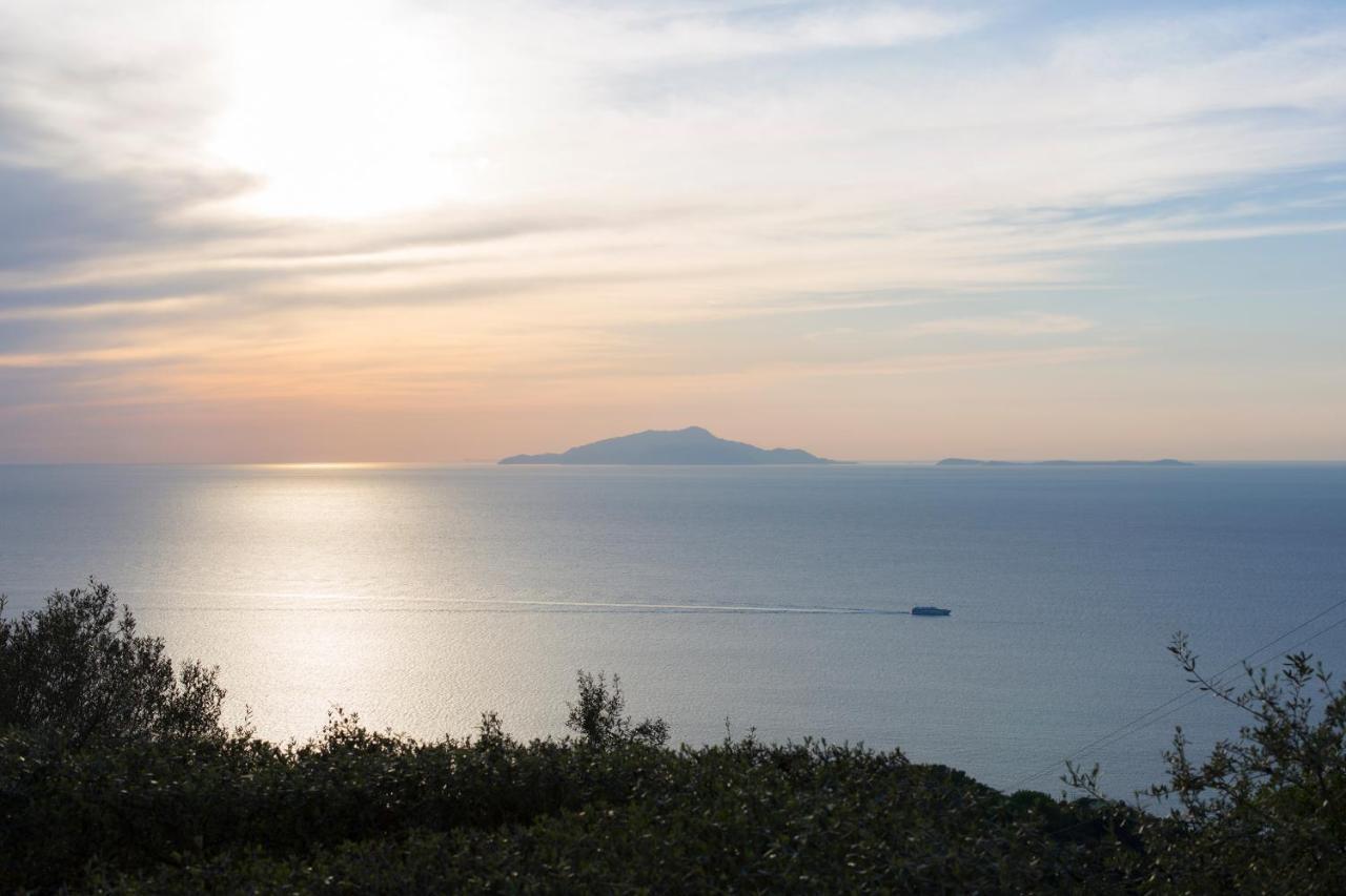 Villa Venus In Penisola Sorrentina มัสซาลูเบรนเซ ภายนอก รูปภาพ