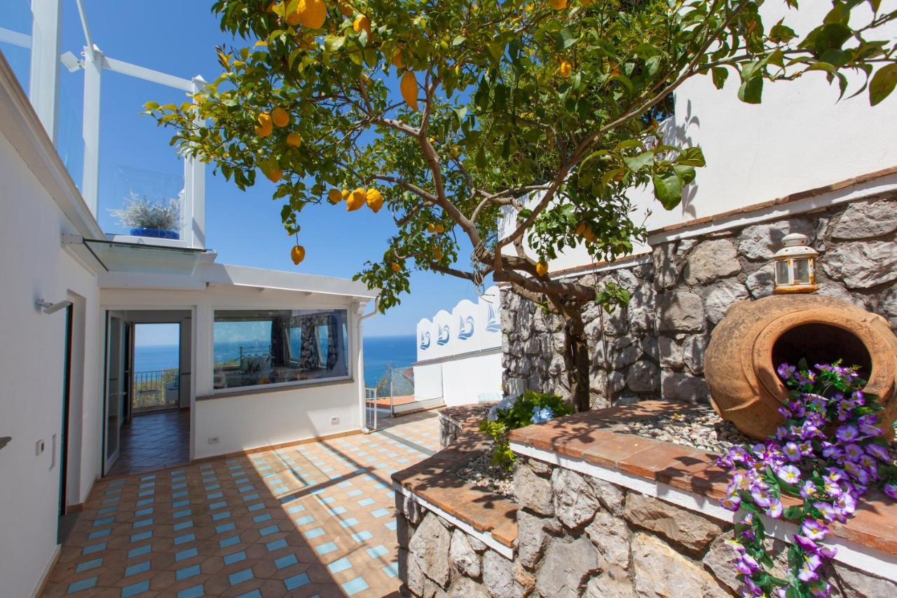 Villa Venus In Penisola Sorrentina มัสซาลูเบรนเซ ภายนอก รูปภาพ