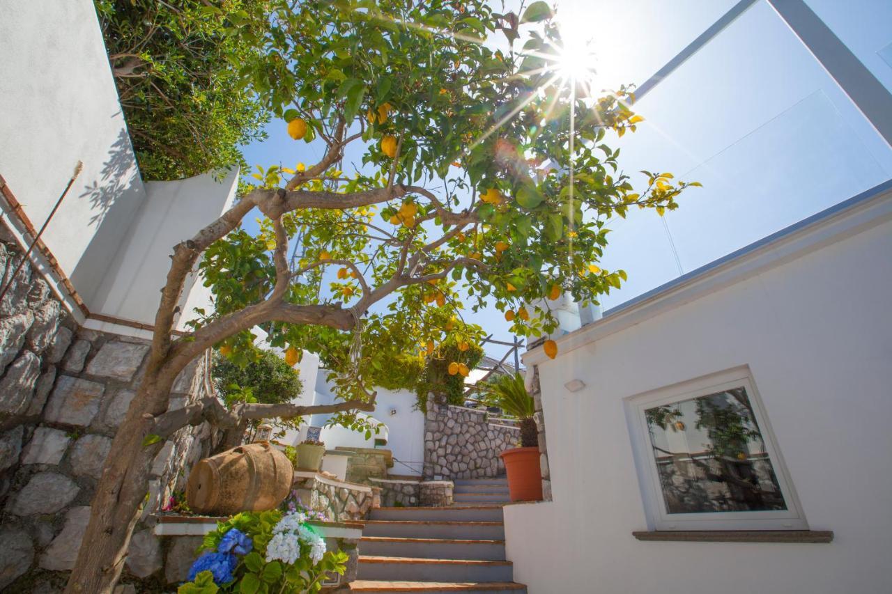 Villa Venus In Penisola Sorrentina มัสซาลูเบรนเซ ภายนอก รูปภาพ
