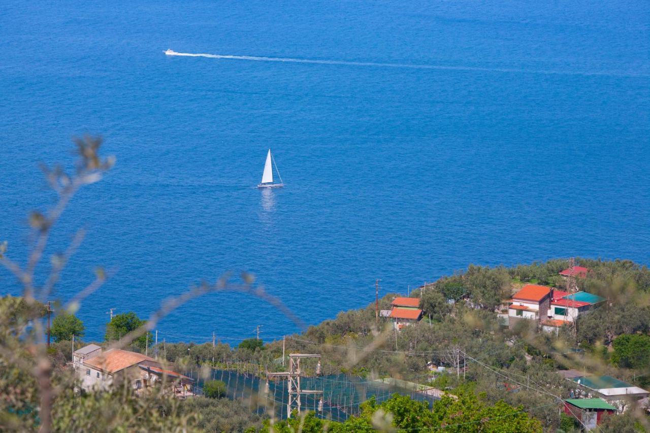 Villa Venus In Penisola Sorrentina มัสซาลูเบรนเซ ภายนอก รูปภาพ